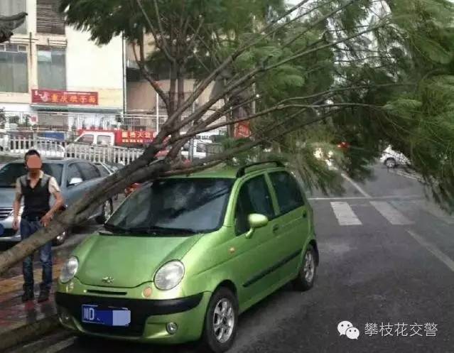 攀枝花这些驾驶员,真是“nozuonocry”呀