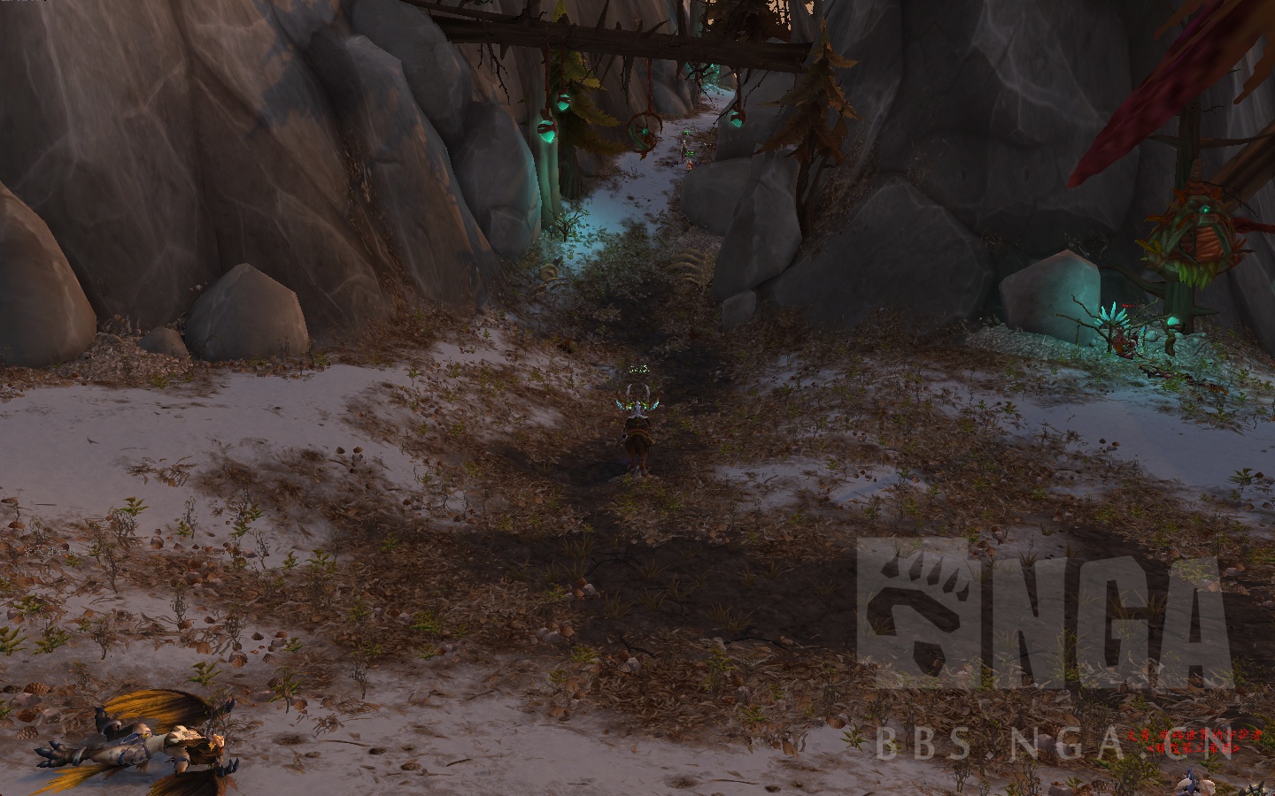 魔兽世界风筝龙玩具,魔兽世界风筝鹏羽位置