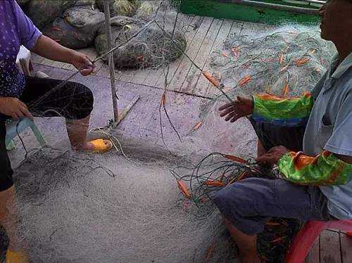 外伶仃岛岸边钓点,外伶仃岛钓鱿鱼钓点