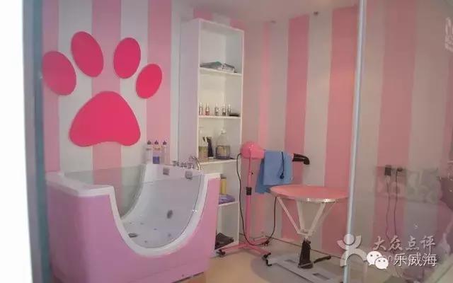 威海最全的宠物店汇总!喵奴汪主人还不速速收藏!