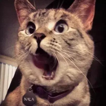 不护肤可以涂隔离吗,不化妆只涂隔离会有什么效果