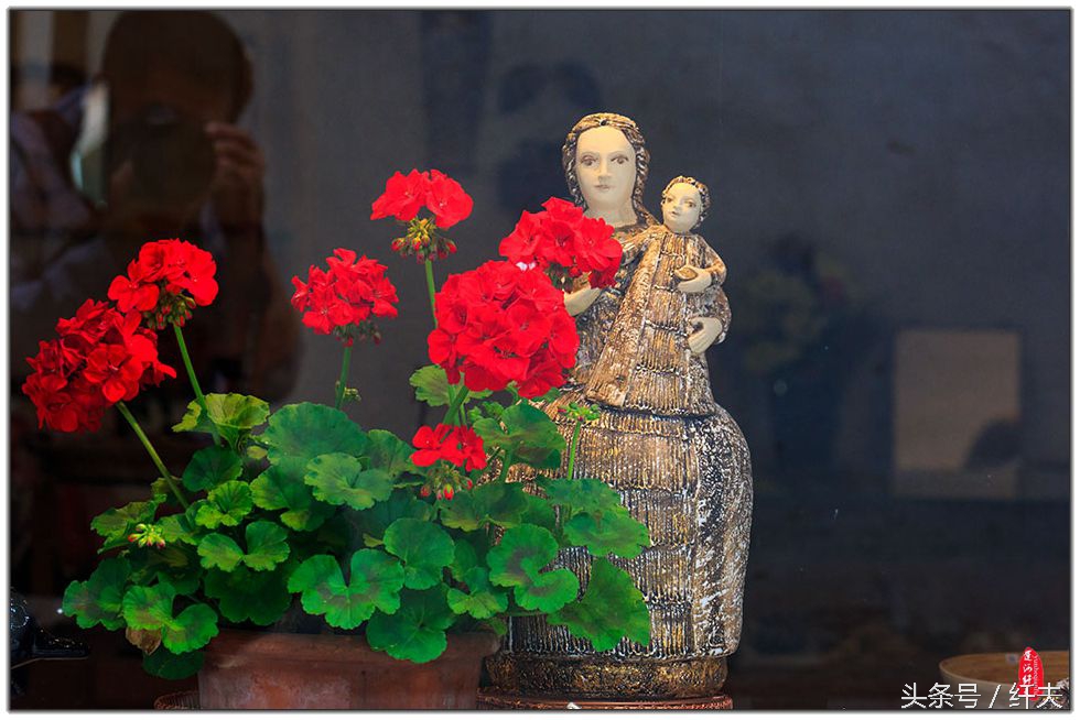 姹紫嫣红入夏来,姹紫嫣红等你来