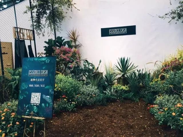 无数大牌“闪”过，见过12家合体的快闪店群吗？