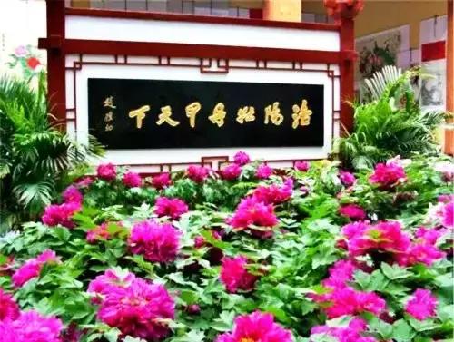 洛阳涧西区好玩的景点,洛阳35个免费景点