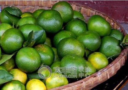 柑橘储藏的最佳方法,柑橘贮藏保鲜的八种方法果农必看