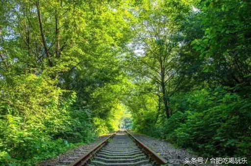 合肥附近自驾游可以去哪些地方玩,来合肥一定要玩的几个地方