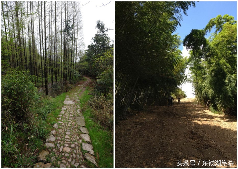 东钱湖旅游攻略徒步路线图,东钱湖古道徒步