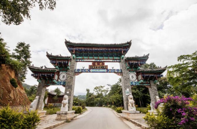 五虎上将普洱茶2006,五虎上将普洱