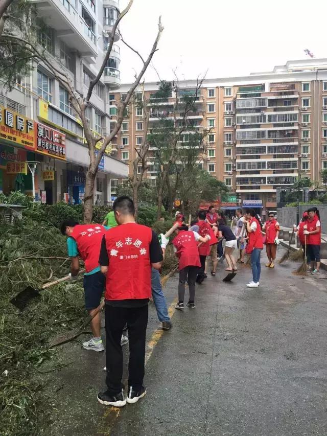 台风后的厦门值得一看,台风过后的厦门依然美丽
