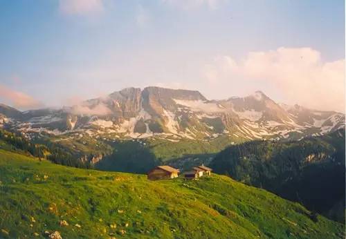欧洲购物忘退税回国后能补退吗,欧洲旅游购物需要办理退税吗