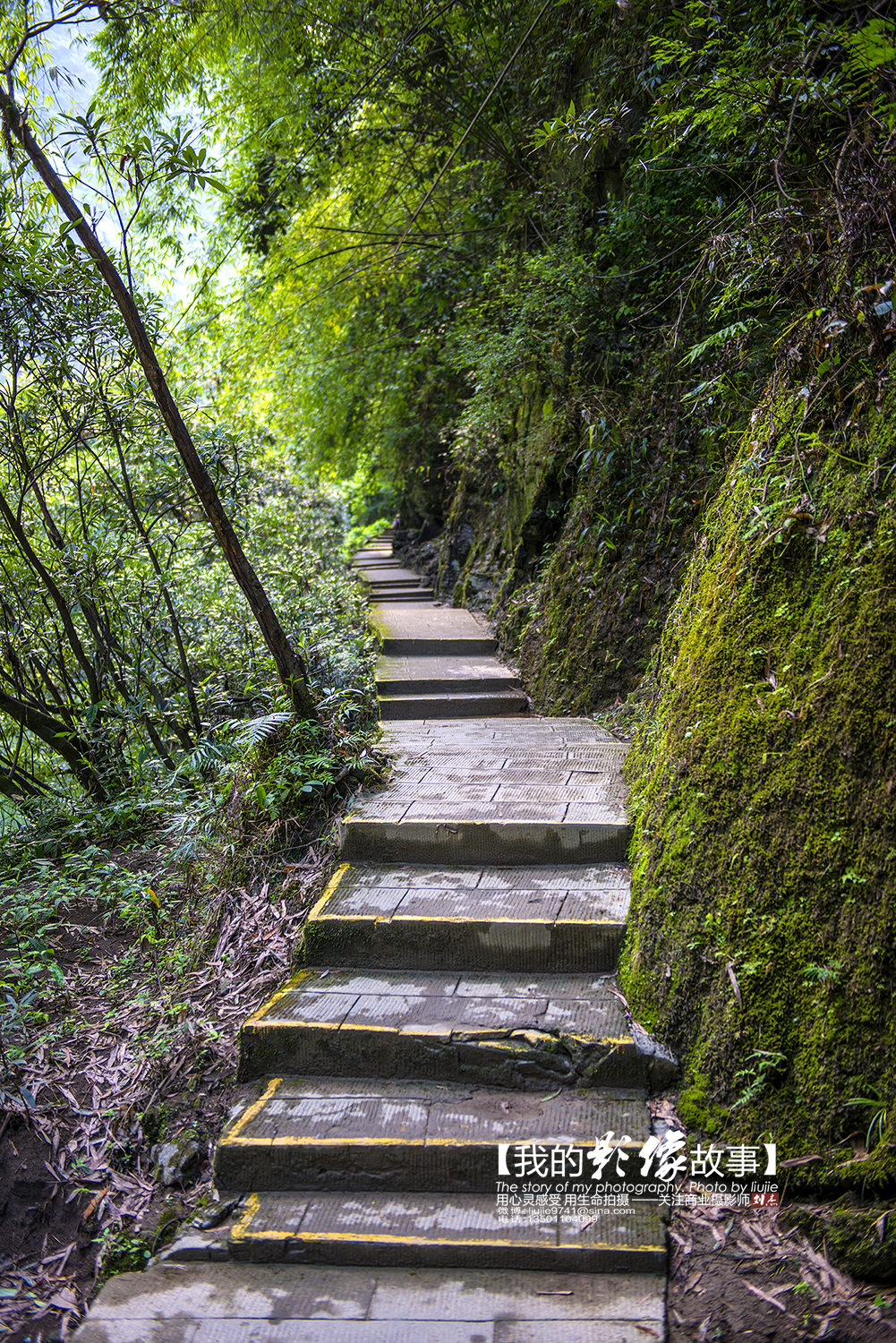 治愈感情疗伤的旅游地方,情感疗伤最适合去的地方