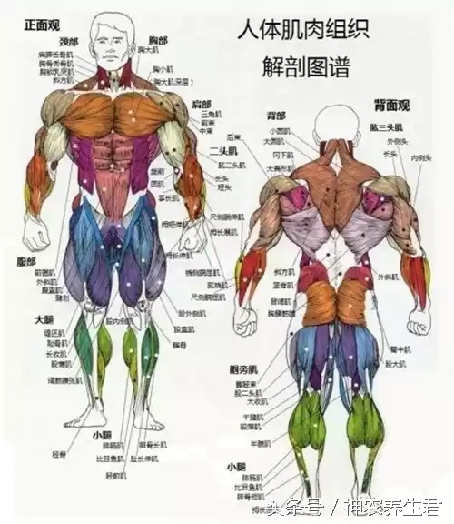 十大常见运动损伤部位及防治,运动损伤最容易出现部位