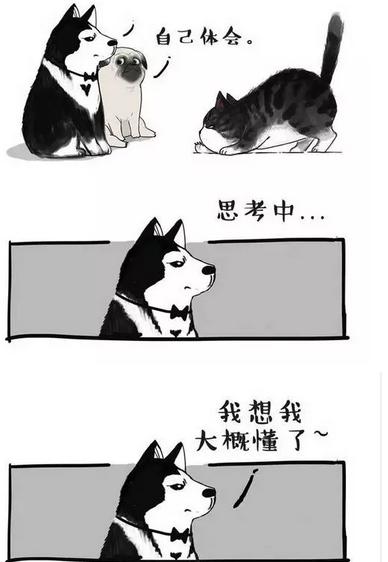 原创|“吾皇”老爸白茶来蓉破解婆媳千古难题