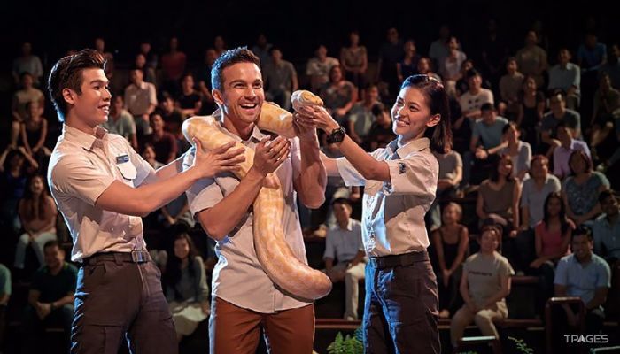 新加坡夜间野生动物园照片,新加坡夜间野生动物园攻略