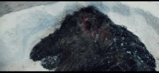 密集恐惧者请绕行,友情提示胆小的朋友请谨慎观看