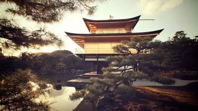 g20峰会滨江高楼,g20峰会的杭州风景