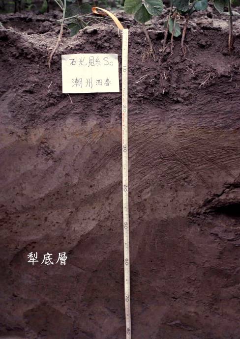 5种现代化农业机械一览,中国十大先进农业机械