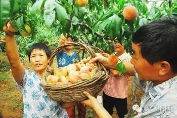 2022灞变笢鍚堟潙骞堕晣鍚嶅崟娣勫崥,2022灞变笢娣勫崥楂橀潚鍚堟潙骞堕晣鍚嶅崟