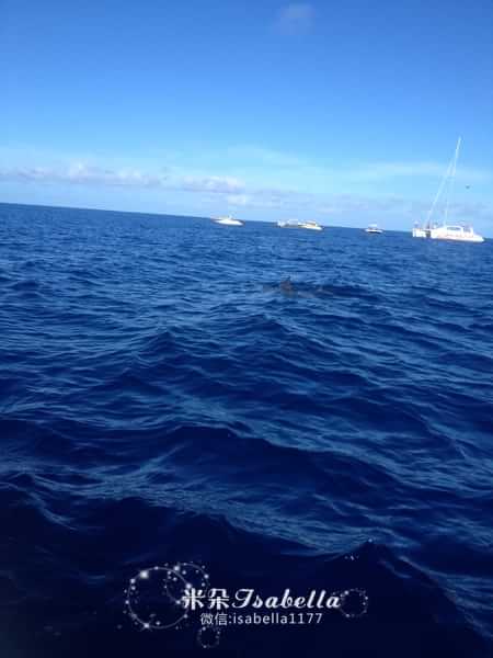 毛里求斯的日常,孤独的毛里求斯