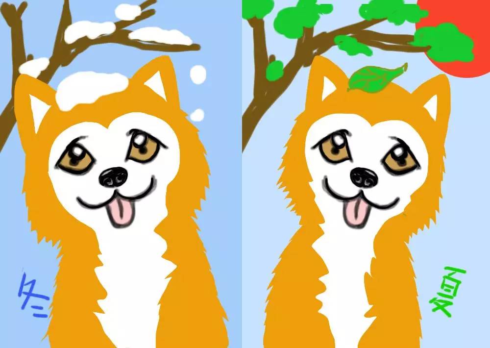 家里毛毛飞到处怎么处理,冬季家里毛毛多怎么处理