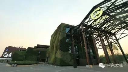 浦东的旅游攻略有哪些,浦东一日游免费景点有哪些