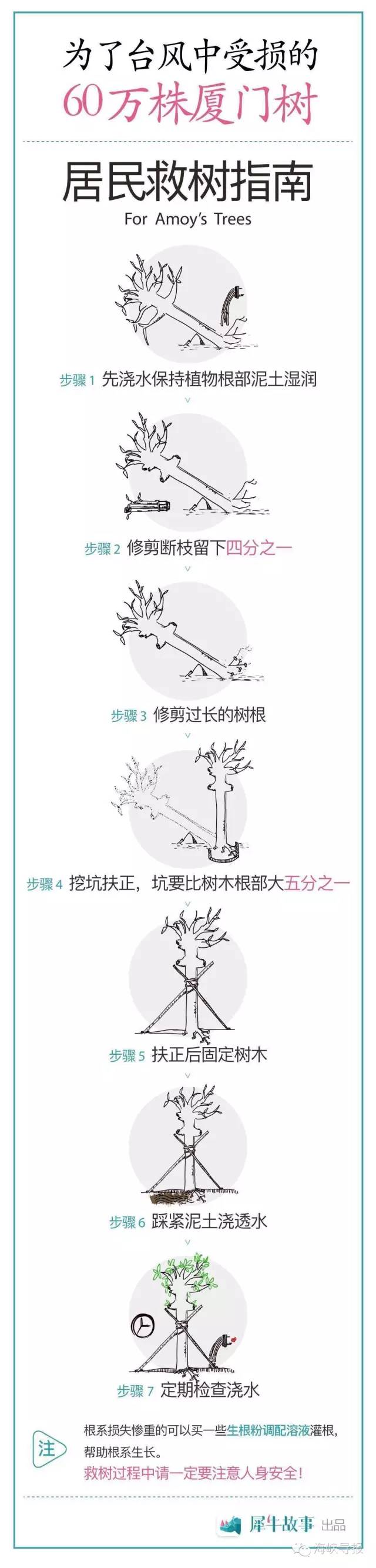 美爆了！台风过后，那些残根断枝竟然这么有用！赶紧学起来...