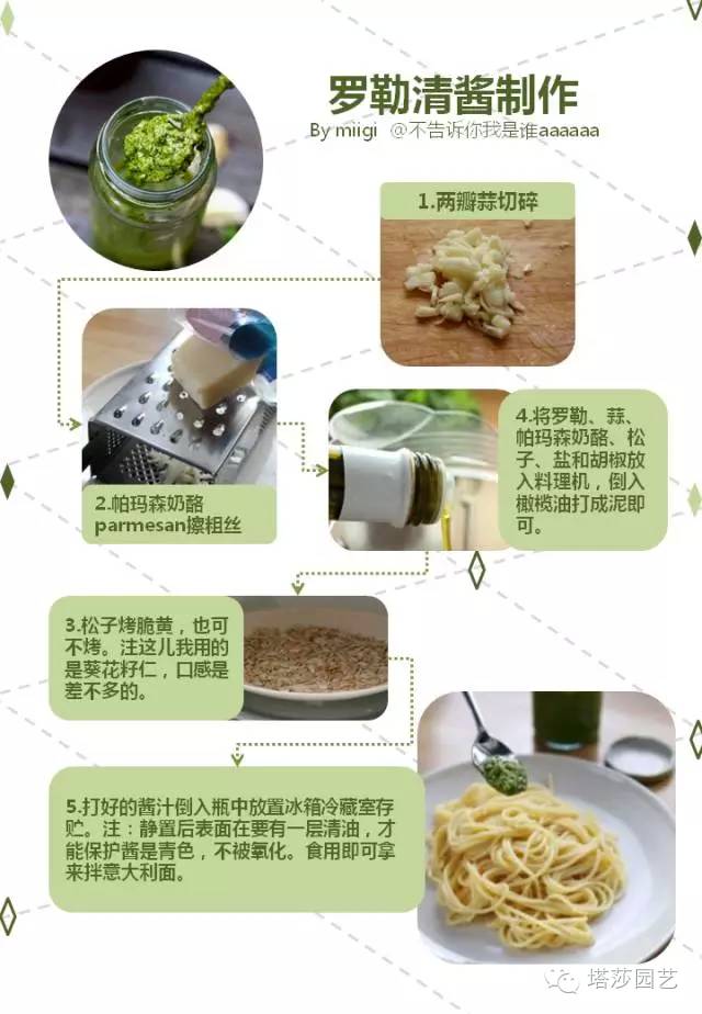 Miigi的罗勒种植、烹饪攻略！