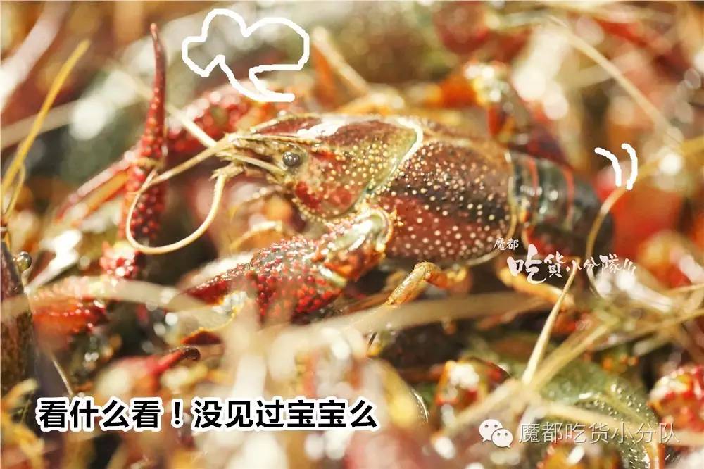 看到这家店的头牌，下意识就是举报！