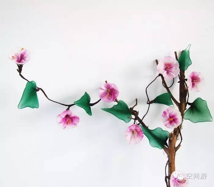 阳台向西种点什么,朝西阳台什么植物好养活