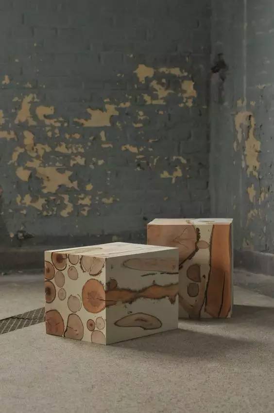 美爆了！台风过后，那些残根断枝竟然这么有用！赶紧学起来...