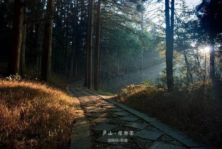 江西10.1小众自驾游路线推荐,江西最好的10条自驾游线路