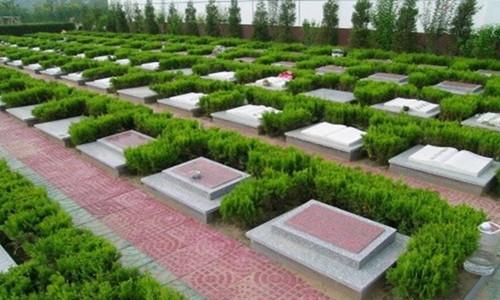 2024年寄存骨灰树葬最佳日期,辽宁树葬的手续怎么办理