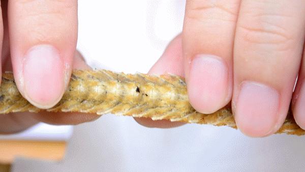 鳗烤肉现烤活鳗鱼探店,食妞