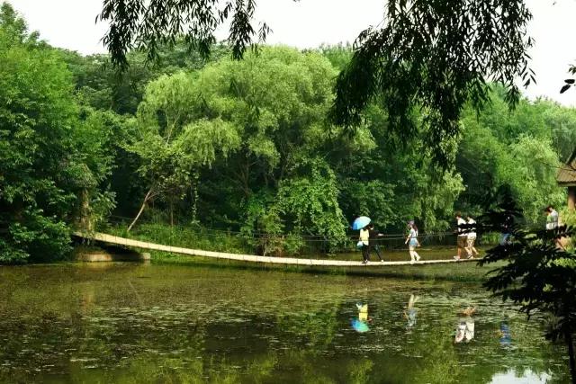 凤凰岛把公园还给你,你还欠自己一次隐居