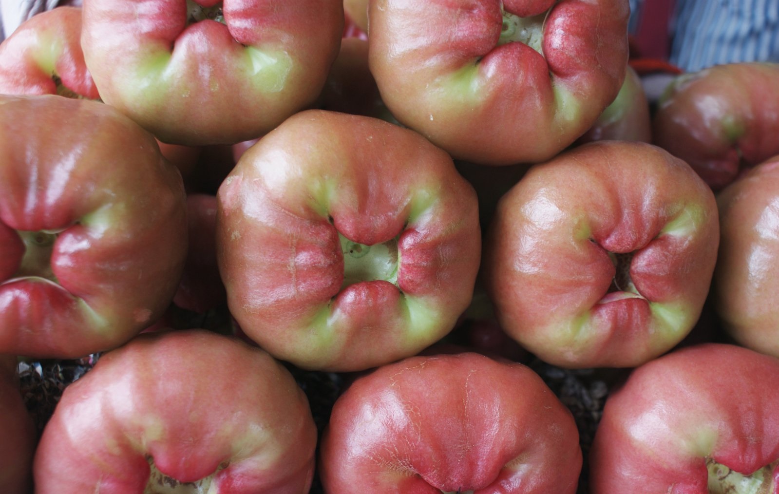 旅行游记台湾,台湾大陆游记视频