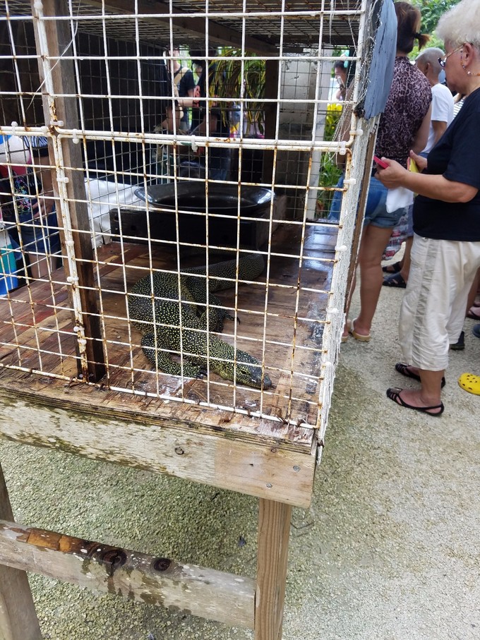 塞班冬游印象记,身处在美景中内心的感受