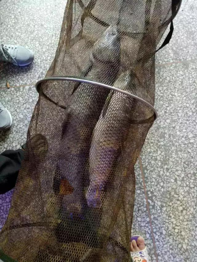 閽撻奔娓旇幏鎴樻姤,閽撻奔浜虹鎭╃埍