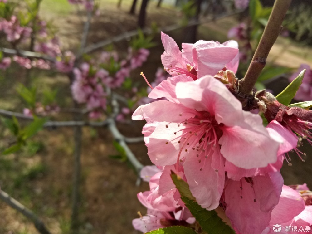 一代最经典的oppor9手机,充电快的oppo手机推荐