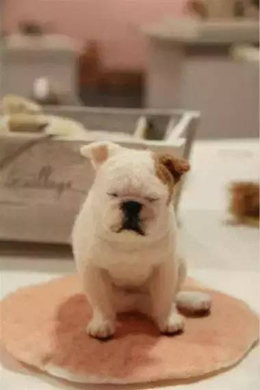 在日本买到假货,日本假货最新处理方法