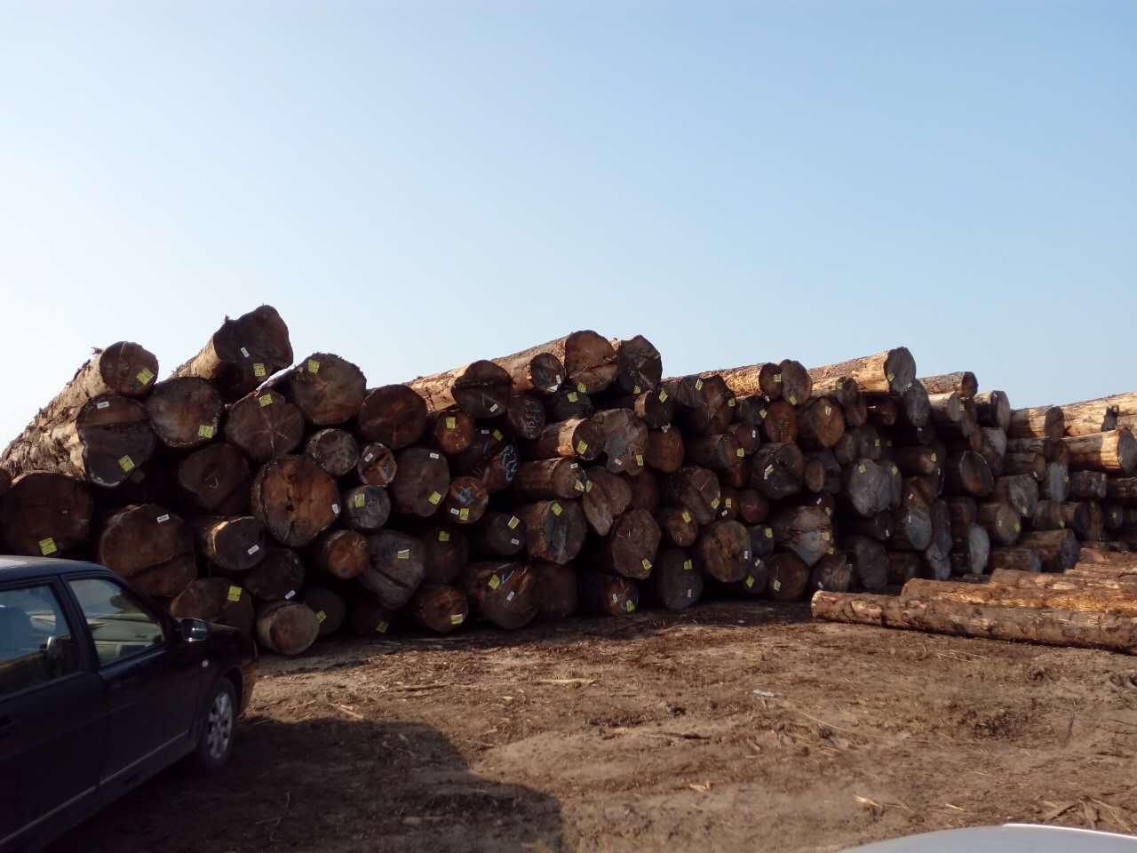 (多图)你很难猜到做一把普通木吉他居然要......