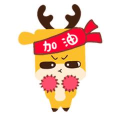 台风后的厦门值得一看,台风过后的厦门依然美丽