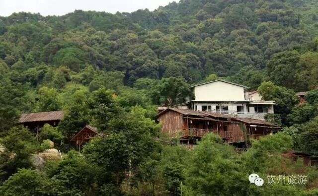 钦州周末出游攻略,钦州乡村旅游攻略