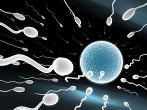 专家解析生男生女,专家说第一胎生男生女