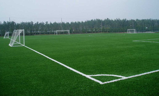 成都各区县修建足球场,成都有规划免费足球场吗