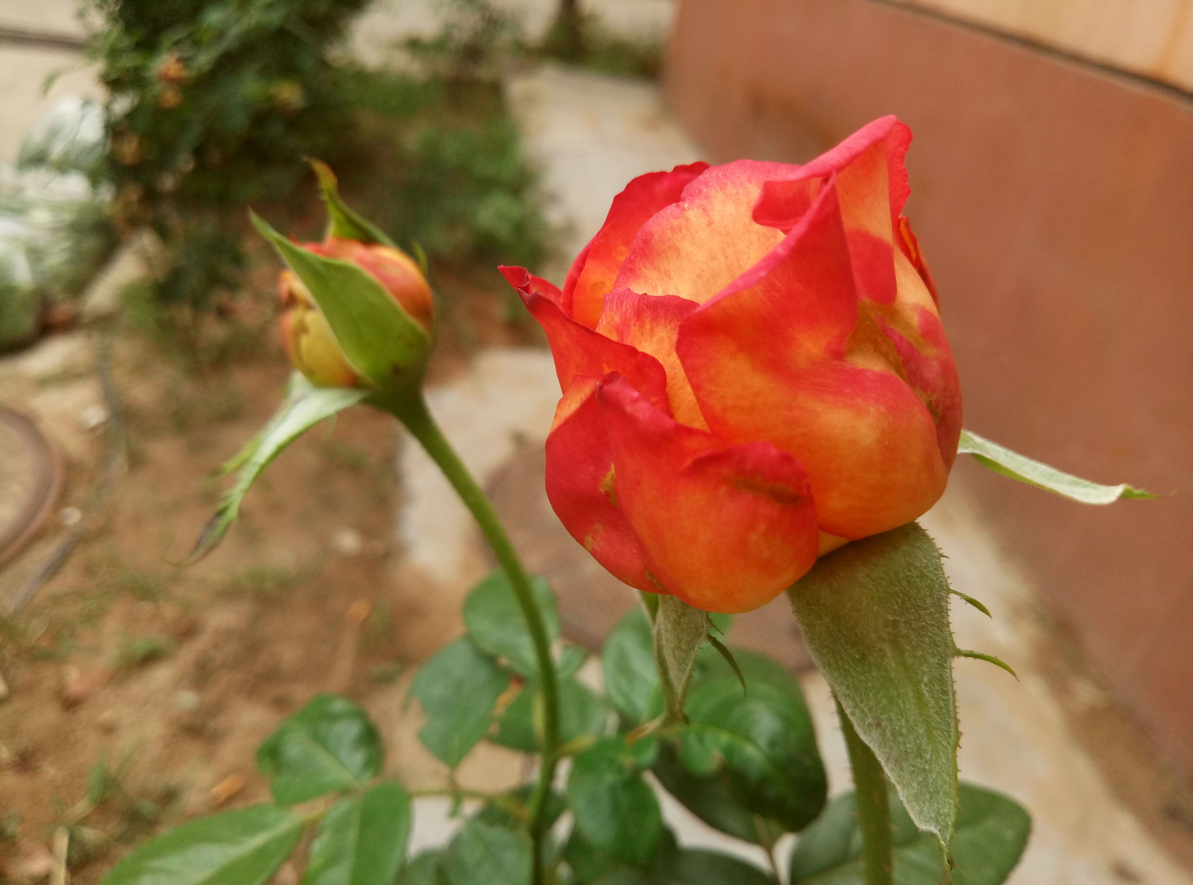 魅蓝max评测,魅蓝max深度评测视频