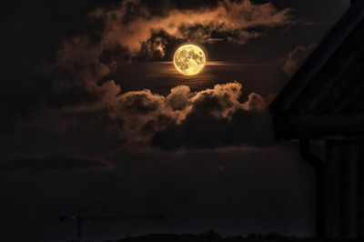 乔任梁为何在月圆之夜自杀?月圆之夜的秘密