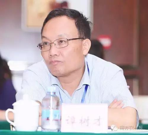 广东县域电商,广东省电商发展好的地方