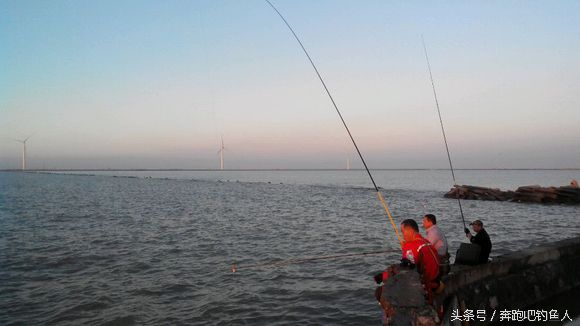 梭鱼钓法秘籍大全,梭鱼钓法及饵料配方大全