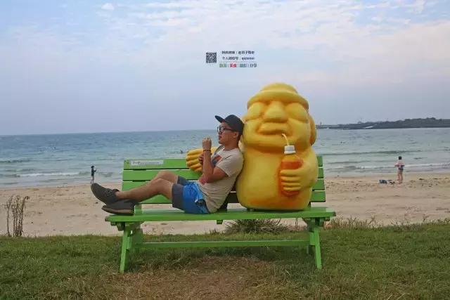 济州岛旅游美食攻略视频大全,济州岛美食旅游