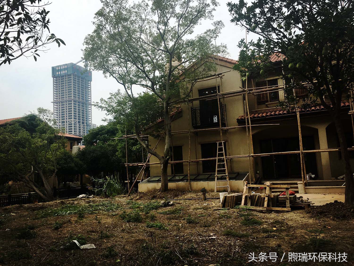 锦鲤鱼池花园庭院,最好看的长方形入户花园锦鲤鱼池